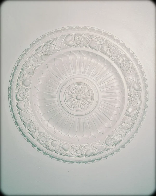 Reference photo: detailed circular ceiling rose